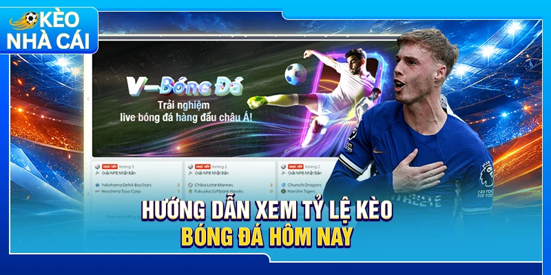 Hướng dẫn xem tỷ lệ kèo bóng đá hôm nay 