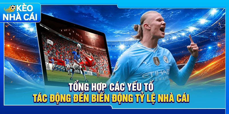 Tổng hợp các yếu tố tác động đến biến động tỷ lệ nhà cái 